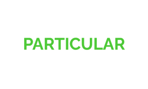 PARTICULAR
